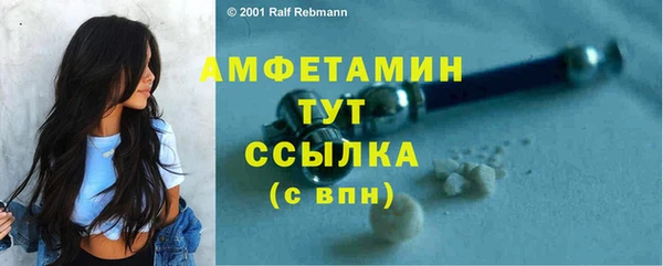 дмт Заводоуковск