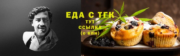 дмт Заводоуковск