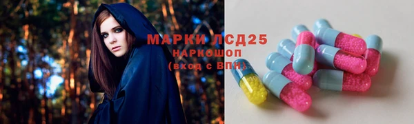 spice Беслан