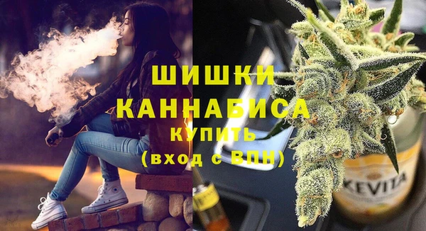 дмт Заводоуковск