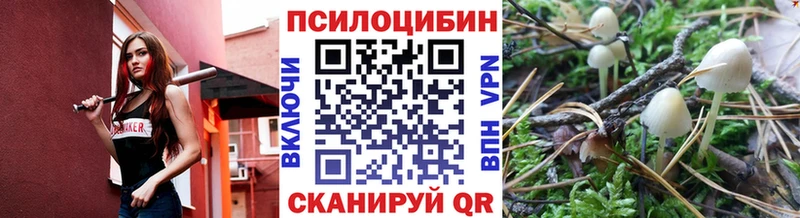 Галлюциногенные грибы ЛСД  даркнет официальный сайт  Игарка 