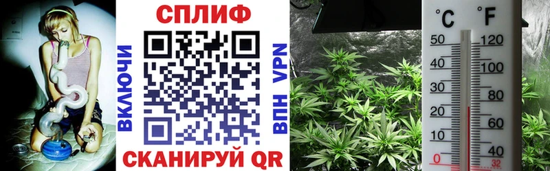 мега   Игарка  Конопля SATIVA & INDICA 